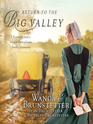 cover image of Return to the Big Valley